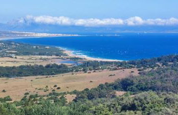 Alquiler Casita en Facinas - Foto 20