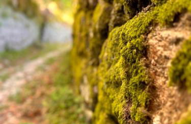 Casa da Touça - Foto 24