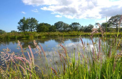 Ty Log Llansteffan - Photo 12