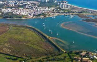 Studio At The Beach - Photo 31