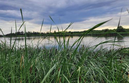 Ferienwohnung Teschow - Foto 24