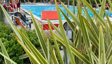 Summer House - Appartamento fronte mare - Foto 4, Garden, Garden view