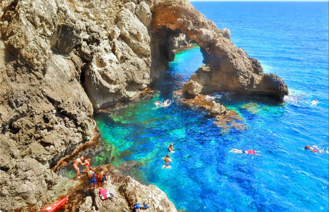 Tour in Pollença - Photo 4