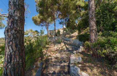 Casa dell'Asino - Goelba - Photo 24