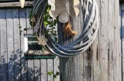 Landhaus Löwenzahn - Foto 44