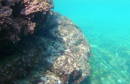 Le case di Carlotta & Giorgia - Foto 34