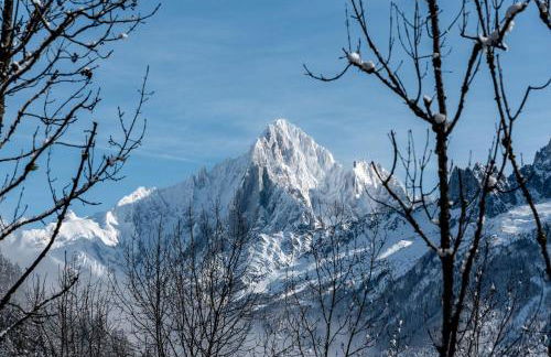 Apartment Alpinea, Les Houches - by EMERALD STAY - Foto 31