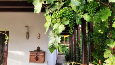 Ferienwohnung Weingarten - Foto 2