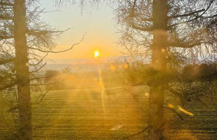 Apartamenty PICCO RADO - Foto 22