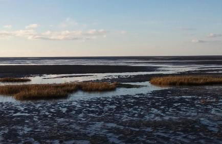 Les Voiles Blanches - Foto 20