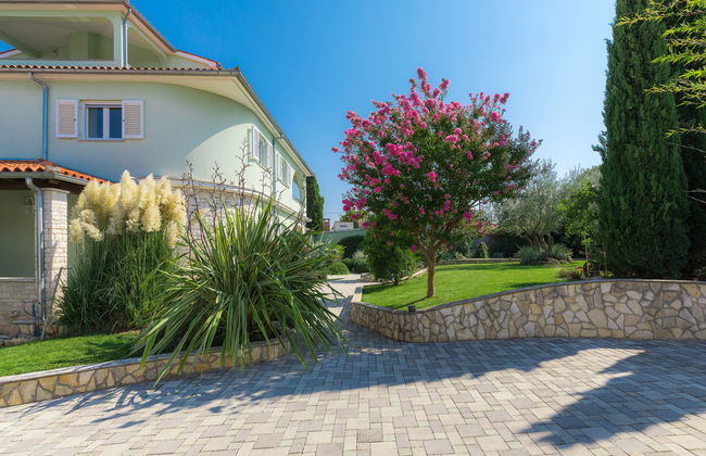 Salamander - Foto 51