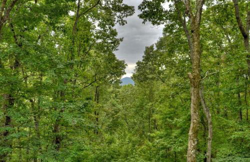 Mama Bears Hideaway Mountain views hot tub pet-friendly - Foto 40