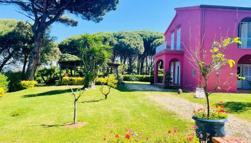 Tenuta Clementino - Foto 2