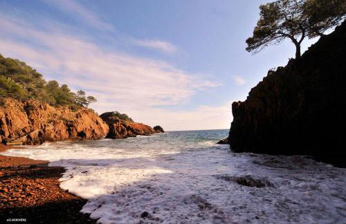 Villa le Hameau - Cap Esterel (Agay) - Foto 23