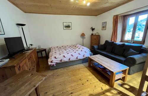 Appartement spacieux proche des télécabines et du centre ville avec jardin privé - Foto 10