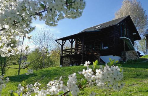 Na końcu świata - Foto 41