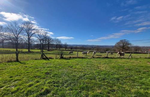 Etape à la campagne - Photo 21