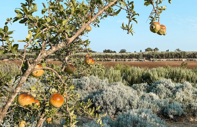 Naturalis Bio Resort & Spa - Foto 57