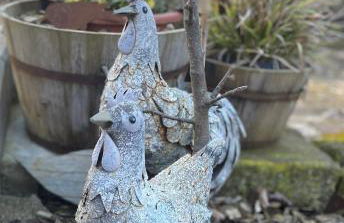 Schlafen im Weinfass - Foto 27