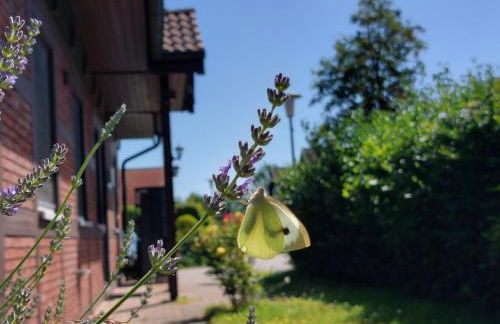 Ferienhaus Sasse Ferienwohnungen mit Garten & Grill - Foto 35