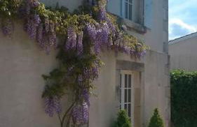Vaste maison 23/29 pers. piscine proche des plages - Photo 4