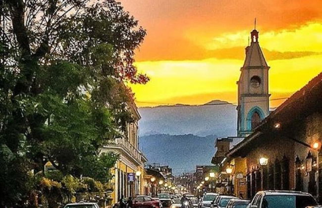 House of Ficus Banderilla,veracruz-mexico - Foto 48