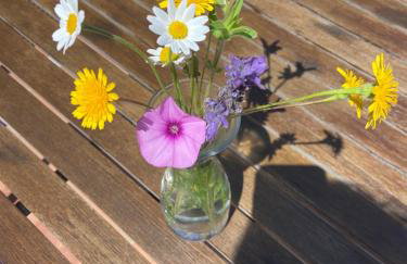 La colina buena - cosy casita for nature lovers - Foto 39