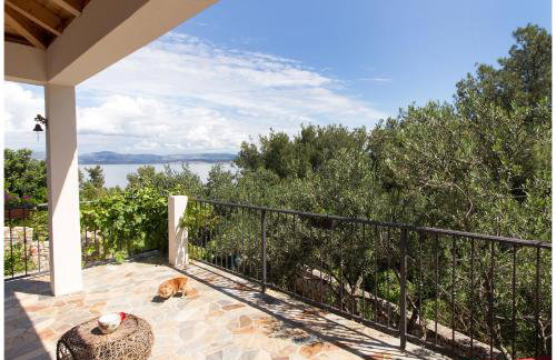 Apartments FRAGOLINA - Photo 5