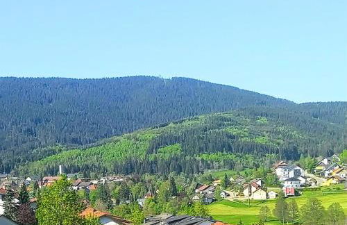 Romantic Style Apartment Titisee-Neustadt - Foto 27