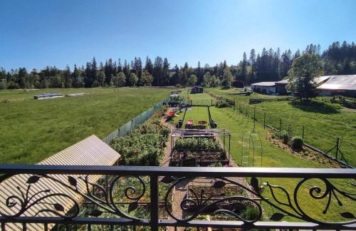 Owca za płotem - Foto 9