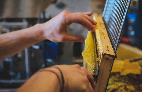 Agriturismo Bellofatto - Foto 38