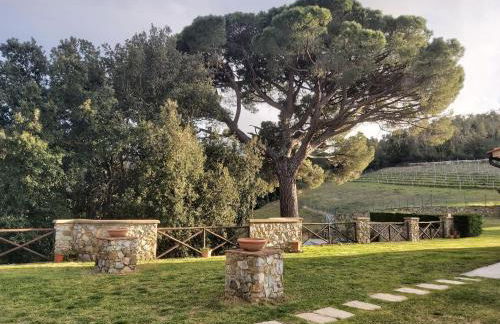 Agriturismo Aia Leccioni - Foto 11