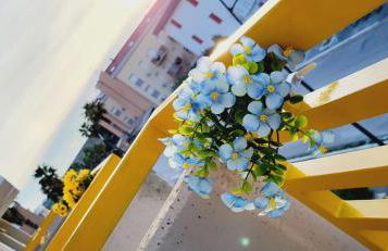 Il bacio del sole - Photo 34