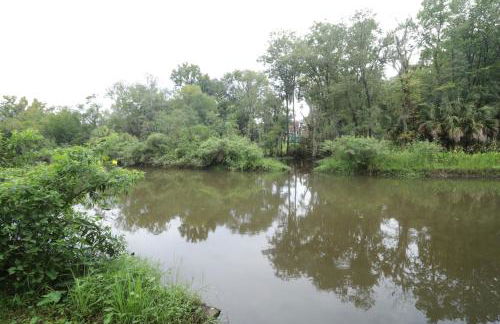 King Bed Creekfront Retreat in Jacksonville - Photo 58