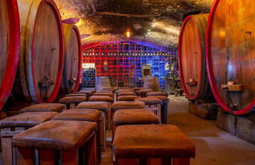 Unterkunft im Weingut Fitz-Ritter - Foto 7