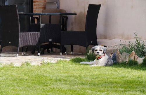 Villa Mandrés. Casa con jardín y piscina. Proximo a Puy Du Fou. - Foto 26