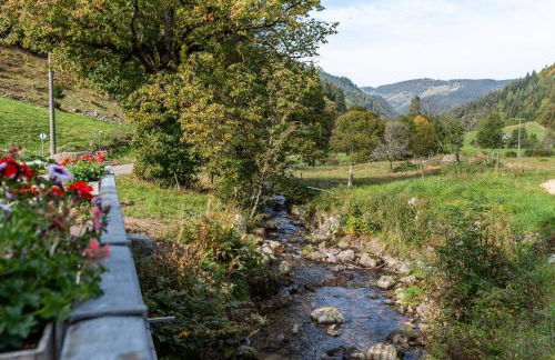Gasthaus Zur Linde- Napf - Foto 7