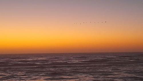 Casa dos Peixes, um refúgio à beira mar - Foto 5