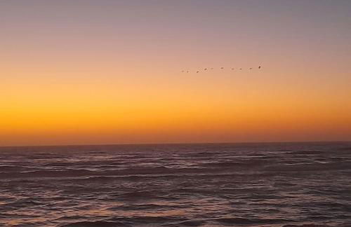 Casa dos Peixes, um refúgio à beira mar - Foto 5