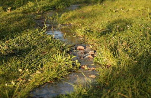 Ferienwohnung in Peetzig am See - Foto 18