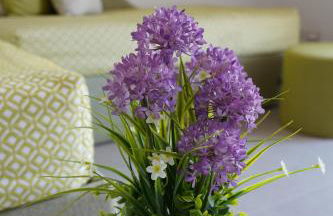 Vesuvius' Lovely Inn - Foto 41