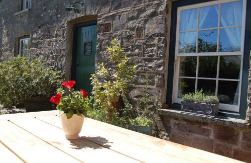 Nantgwynfaen Organic Farm Wales - Photo 26