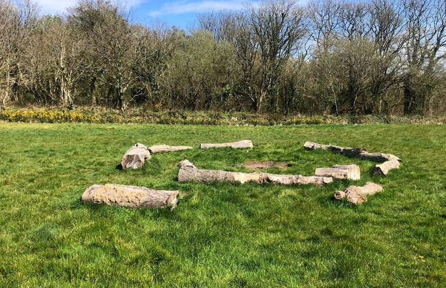 Bell Tent , Carreglwyd Estate, Anglesey - Photo 12