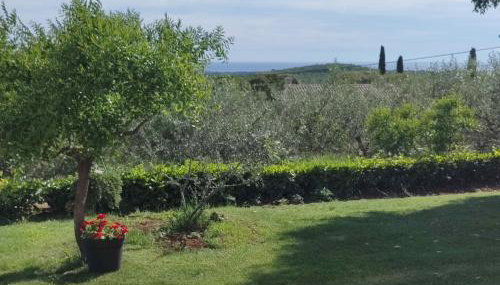 Apartment Matteo - Foto 3