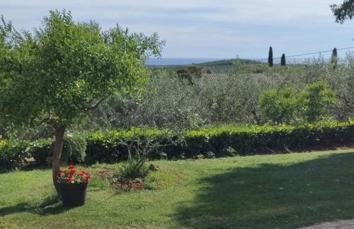 Apartment Matteo - Foto 3