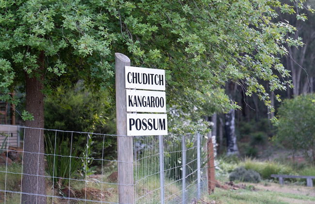 Noble River Estate - Photo 47