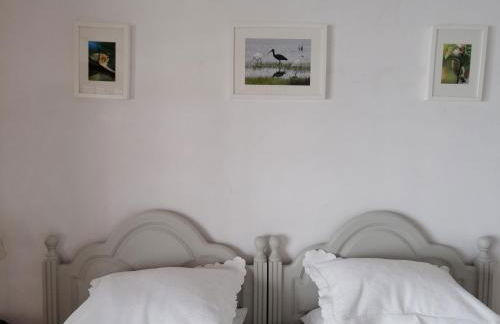 House in the Town Centre - Foto 31