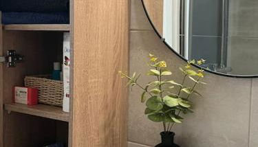 Magnifique F1 à Lingolsheim - Foto 5