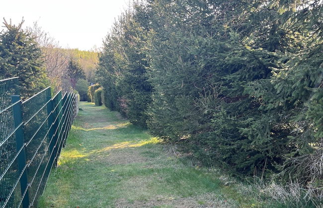 Holiday Home Near Harzgerode With Whirlpool - Foto 34