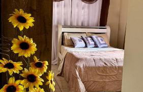 Solar Saint Sebastian - Photo 22